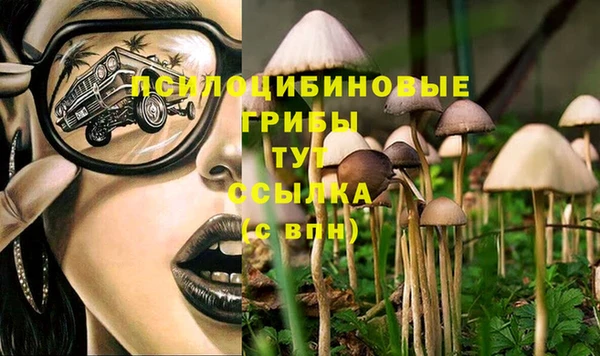 мяу мяу мука Козельск