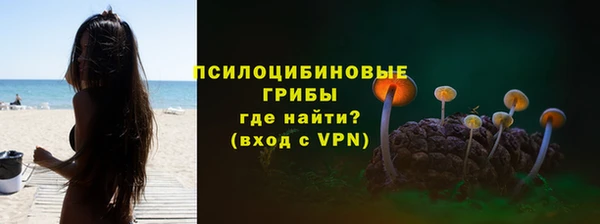 дурь Козловка