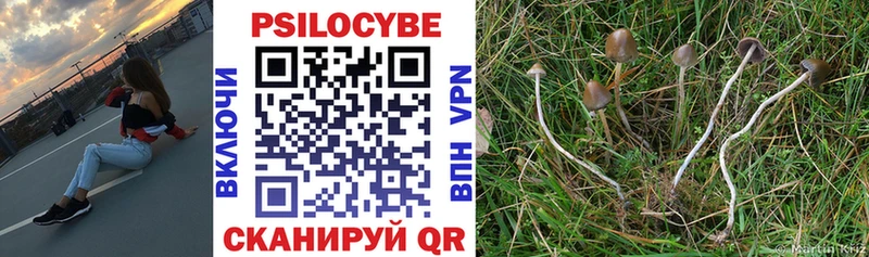 Галлюциногенные грибы Psilocybine cubensis Альметьевск