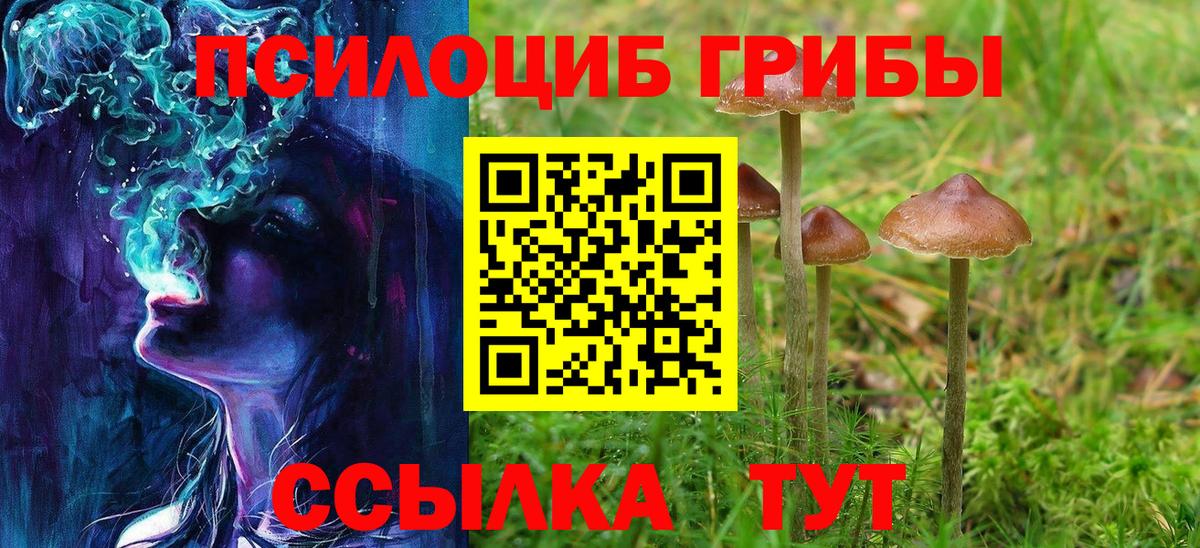 Псилоцибиновые грибы GOLDEN TEACHER Альметьевск