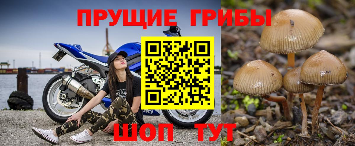 Галлюциногенные грибы GOLDEN TEACHER  Вход с VPN  Альметьевск 